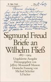 Briefe an Wilhelm Fließ 1887-1904 (eBook, ePUB)