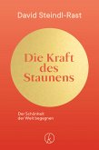 Die Kraft des Staunens (eBook, ePUB)