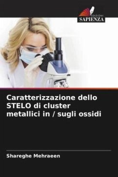 Caratterizzazione dello STELO di cluster metallici in / sugli ossidi - Mehraeen, Shareghe