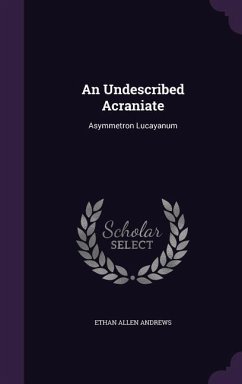 An Undescribed Acraniate: Asymmetron Lucayanum - Andrews, Ethan Allen