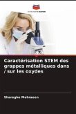 Caractérisation STEM des grappes métalliques dans / sur les oxydes