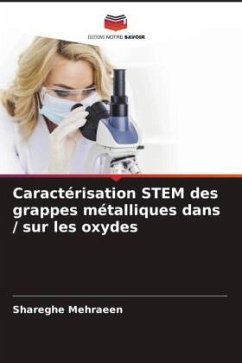 Caractérisation STEM des grappes métalliques dans / sur les oxydes - Mehraeen, Shareghe