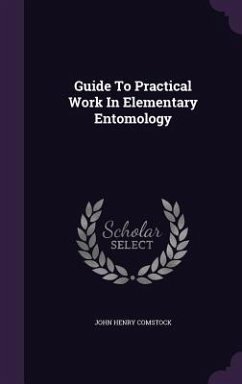 Guide To Practical Work In Elementary Entomology - Comstock, John Henry