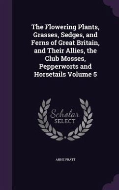 The Flowering Plants, Grasses, Sedges, and Ferns of Great Britain, and Their Allies, the Club Mosses, Pepperworts and Horsetails Volume 5 - Pratt, Anne