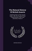 The Natural History Of British Insects