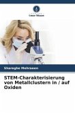 STEM-Charakterisierung von Metallclustern in / auf Oxiden