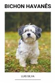 Bichon Havan&#234;s