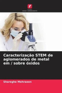 Caracterização STEM de aglomerados de metal em / sobre óxidos - Mehraeen, Shareghe