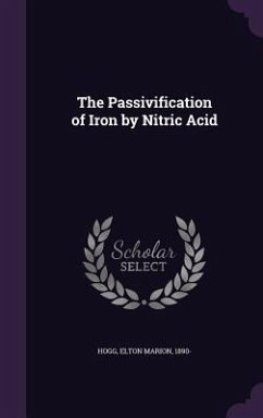 The Passivification of Iron by Nitric Acid Cover The Passivification of Iron by Nitric Acid