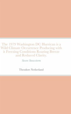 The 1979 Washington DC Hurrican is a Wild Climate Occurrence Producing with it Freezing Conditions Roaring Breeze and Reduced Clarity. - Netherland, Theodore