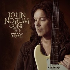 Gone To Stay - Norum,John