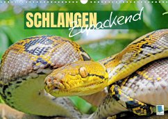 Schlangen: Zupackend (Wandkalender 2023 DIN A3 quer)