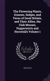 The Flowering Plants, Grasses, Sedges, and Ferns of Great Britain, and Their Allies, the Club Mosses, Pepperworts and Horsetails Volume 1