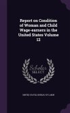 Report on Condition of Woman and Child Wage-earners in the United States Volume 12