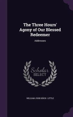 The Three Hours' Agony of Our Blessed Redeemer: Addresses - Little, William John Knox