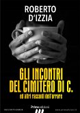 Gli incontri del cimitero di C. (eBook, ePUB)