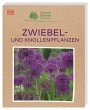 Grünes Gartenwissen. Zwiebel- und... - Bild 1
