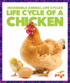 Cover Life Cycle of a Chicken