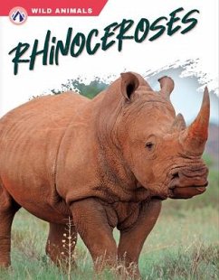 Rhinoceroses - Hamby, Rachel