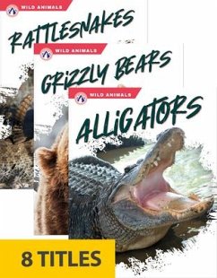 Cover Wild Animals (Set of 8)