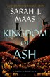 Kingdom of Ash - Bild 1