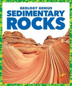 Sedimentary Rocks - Pettiford, Rebecca