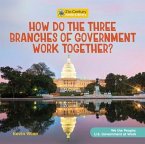 How Do the Three Branches of Government Work Together?