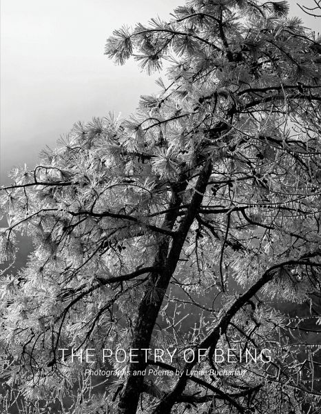 The Poetry of Being: Photographs and Haikus The Poetry of Being: Photographs and Haikus