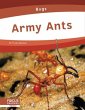 Army Ants - Bild 1