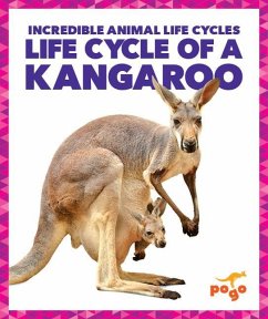 Life Cycle of a Kangaroo - Kenney, Karen