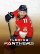 Florida Panthers - Bild 1