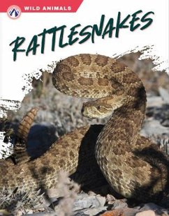 Rattlesnakes - Wilson, Libby