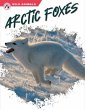 Arctic Foxes - Bild 1