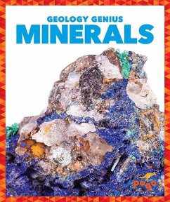 Minerals - Pettiford, Rebecca