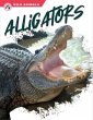 Alligators - Bild 1