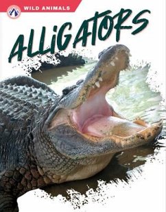 Alligators - Jade, Shannon