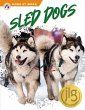 Sled Dogs - Bild 1