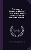 A Journey to Damascus Through Egypt, Nubia, Arabia Petræa, Palestine, and Syria, Volume 1