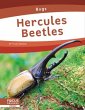 Hercules Beetles - Bild 1