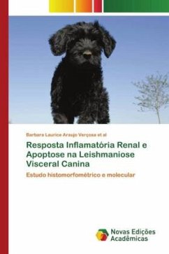 Resposta Inflamatória Renal e Apoptose na Leishmaniose Visceral Canina