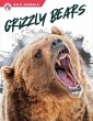 Grizzly Bears - Bild 1