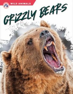 Grizzly Bears - Hamby, Rachel