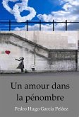 Un amour dans la pénombre (eBook, ePUB) Un amour dans la pénombre (eBook, ePUB)