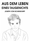 Aus dem Leben eines Taugenichts (eBook, ePUB)