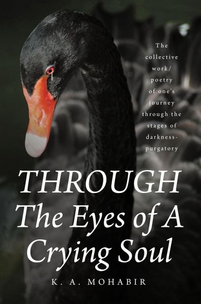 THROUGH The Eyes of A Crying Soul (eBook, ePUB) THROUGH The Eyes of A Crying Soul (eBook, ePUB)