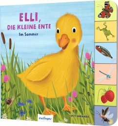Mein erstes Jahreszeitenbuch: Elli, die kleine Ente - Kiel, Anja