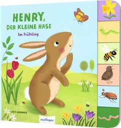 Mein erstes Jahreszeitenbuch: Henry, der kleine Hase - Kiel, Anja
