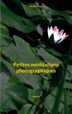 Petites méditations photographiques - Théron, Michel