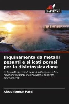Inquinamento da metalli pesanti e silicati porosi per la disintossicazione - Patel, Alpeshkumar