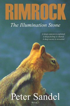 The Illumination Stone - Sandel, Peter